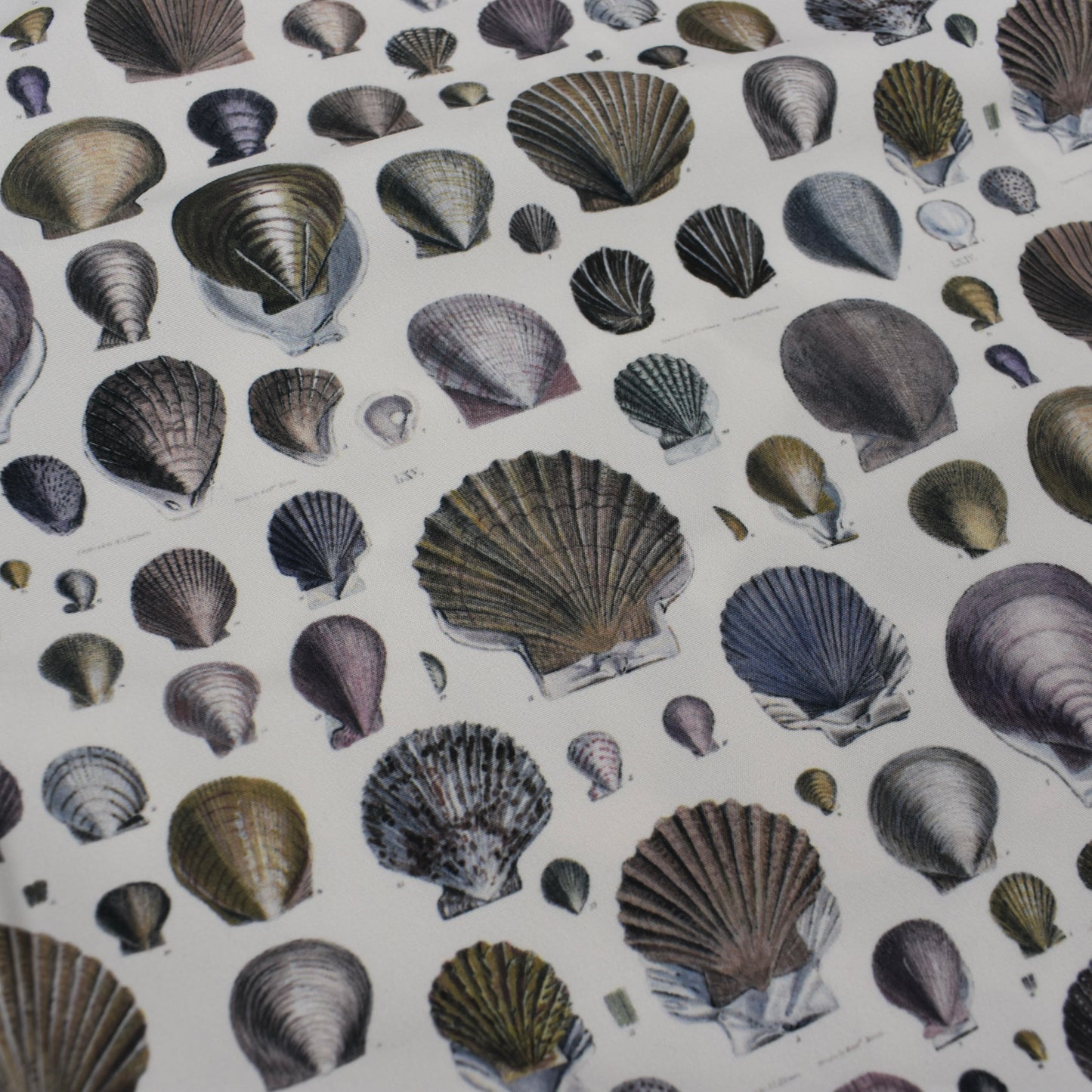Todd Snyder x John Derian - Shell Print Swim Shorts