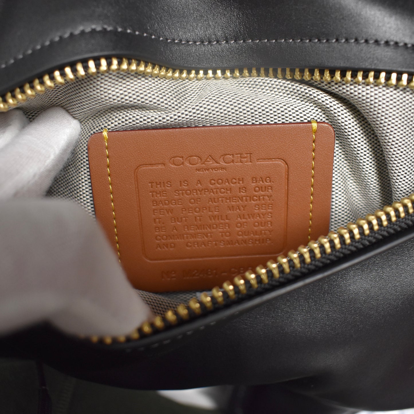 Coach - Large Dino Kisslock Frame Bag