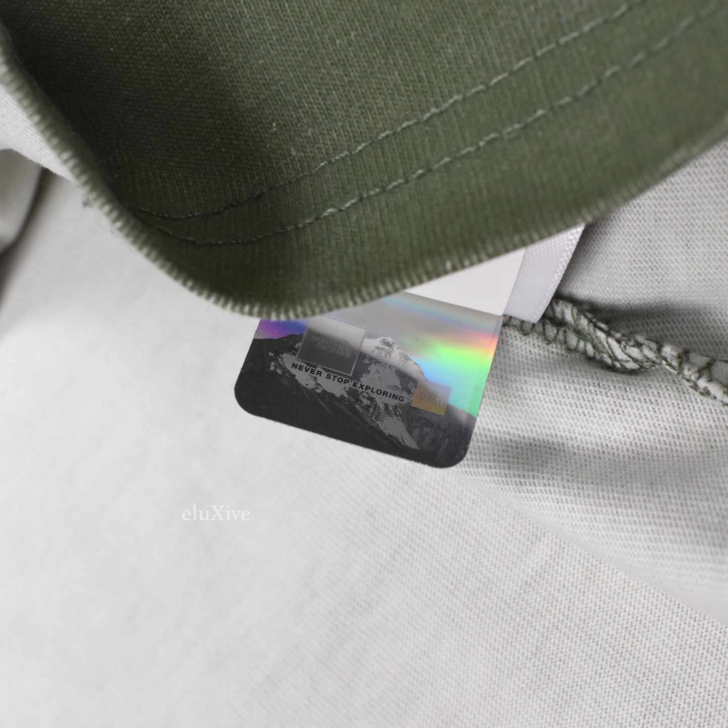 Supreme x The North Face - Pigment Print Logo T-Shirt (Olive)