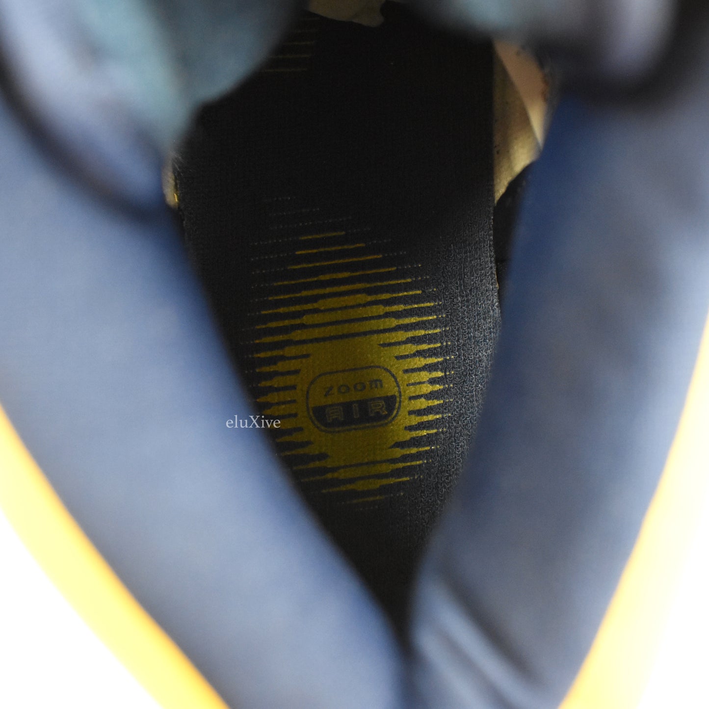 Nike - Dunk High Pro SB 'Michigan'