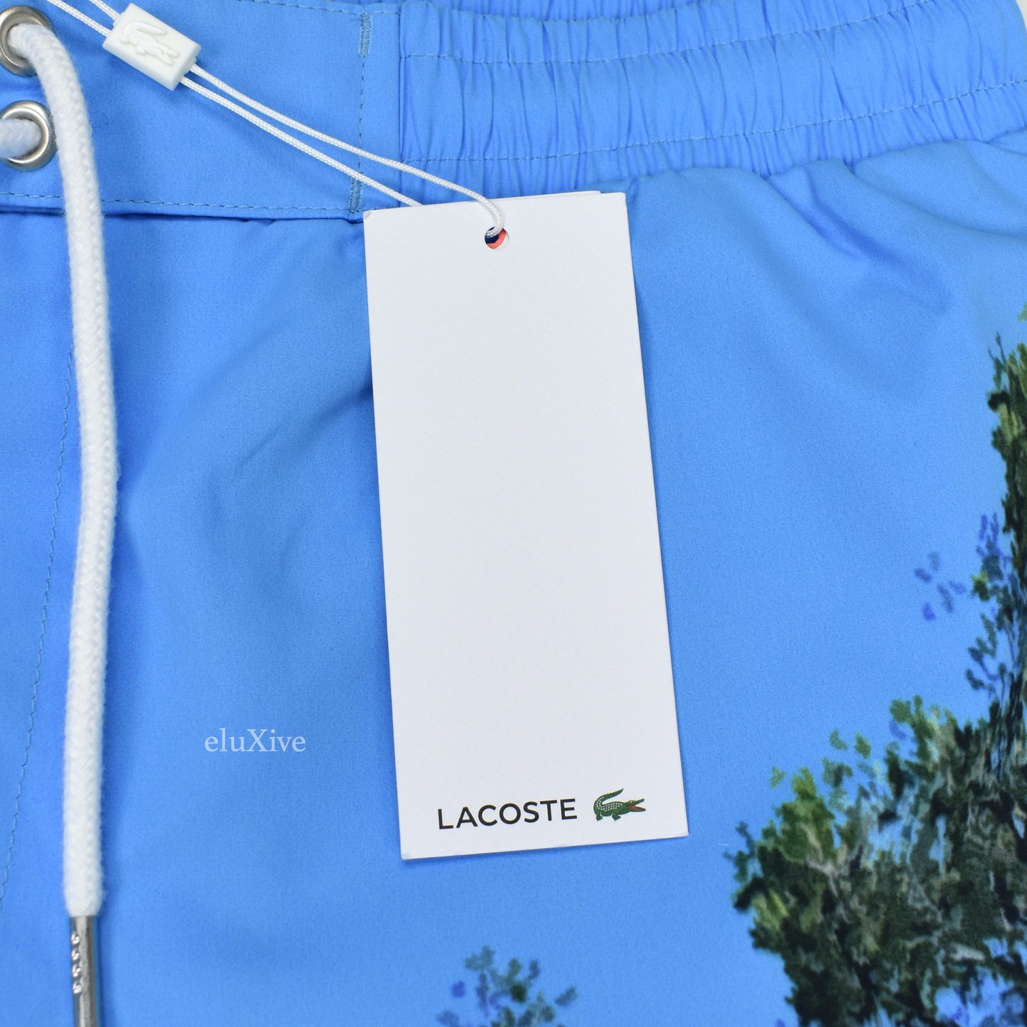 Lacoste - Mountain Print Swim Trunks / Shorts