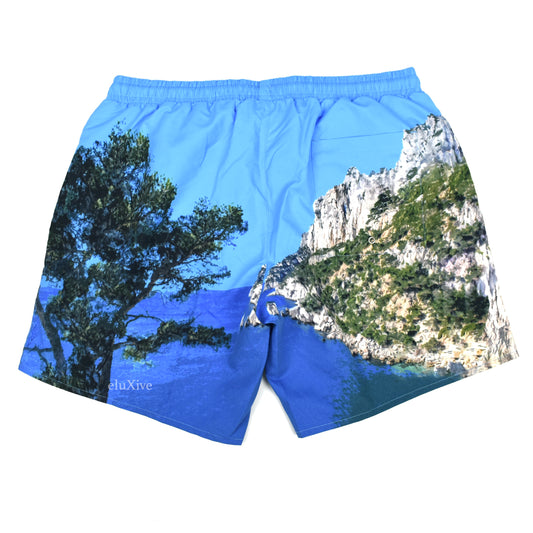 Lacoste - Mountain Print Swim Trunks / Shorts
