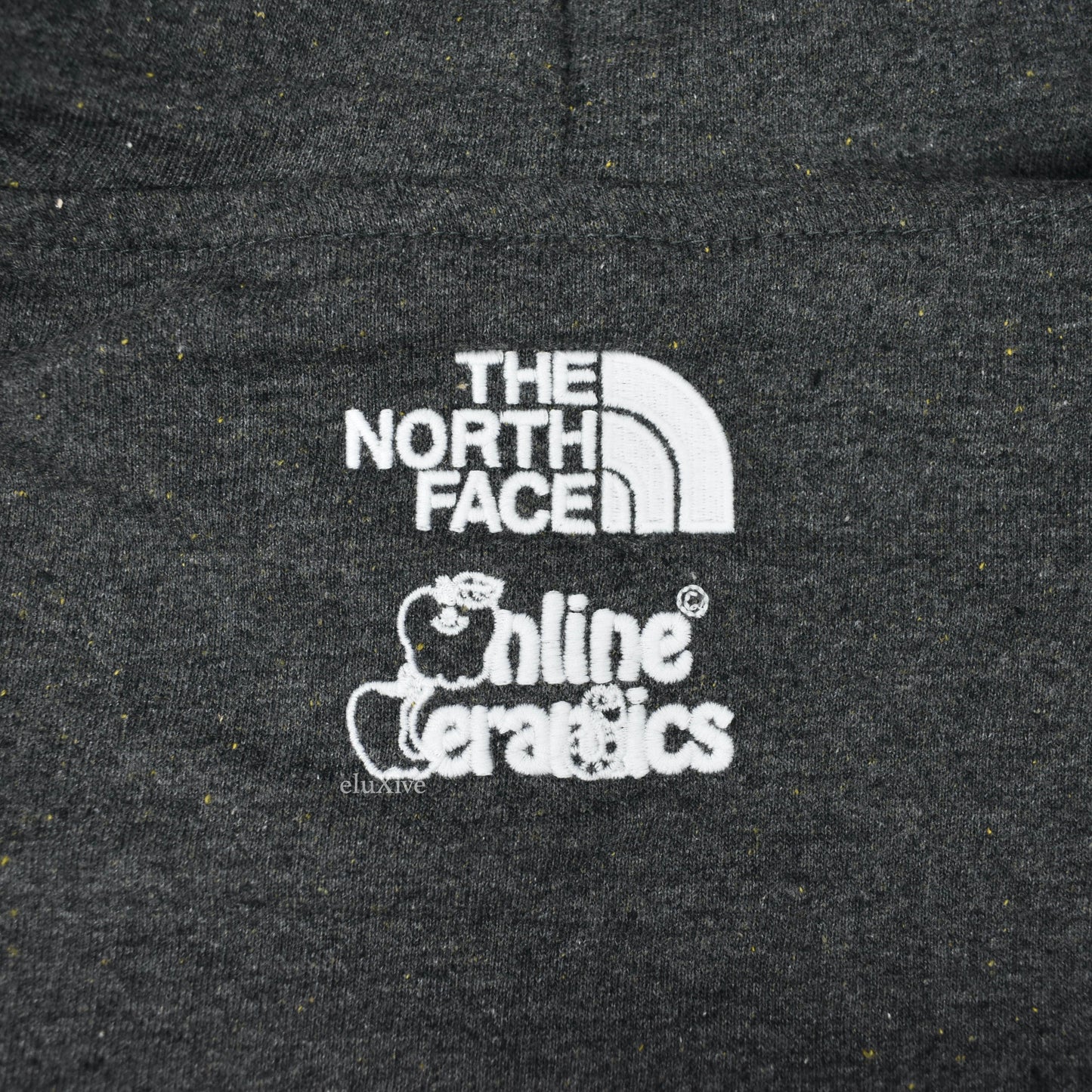 Online Ceramics x The North Face - Gray Snail Logo Hoodie