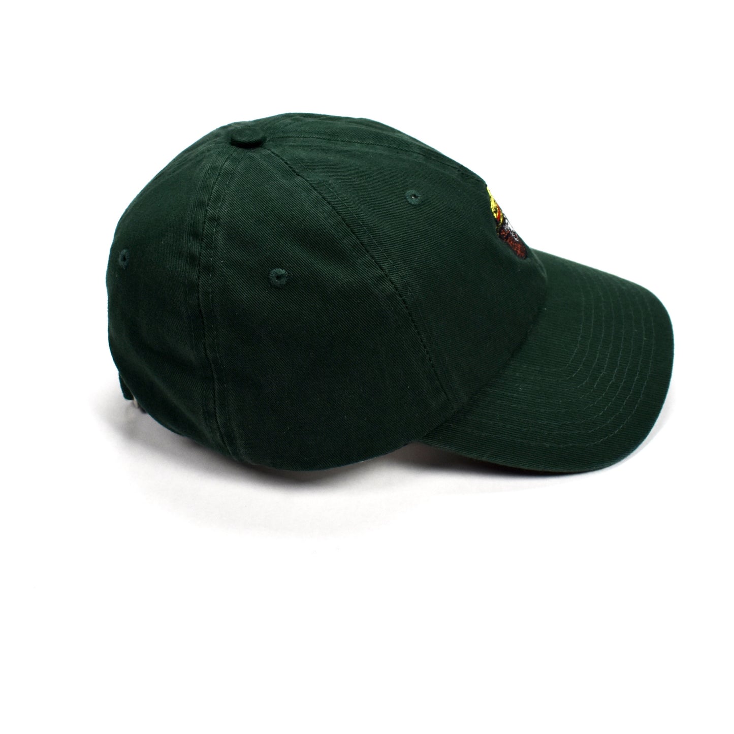 Noah - Green Smokey the Bear Hat