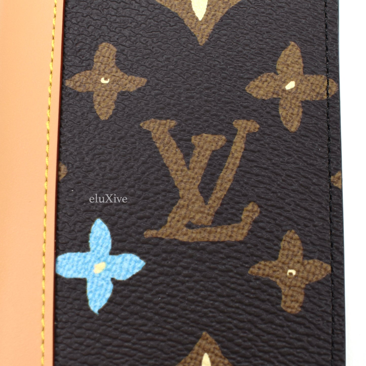 Louis Vuitton x Tyler the Creator - Craggy Monogram Pocket Organizer (Brown)