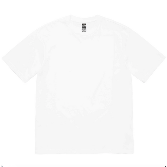 Supreme x The North Face - Back Logo Print T-Shirt (White)
