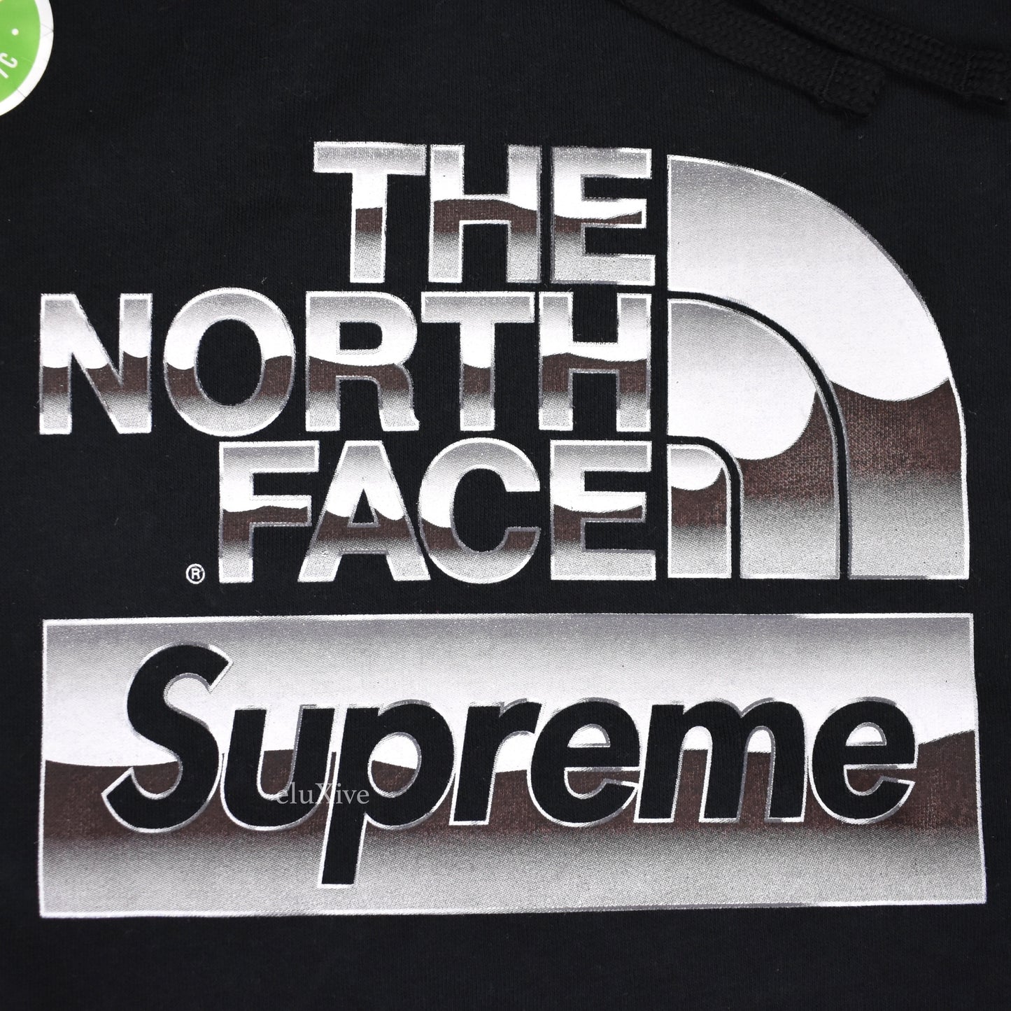 Supreme x The North Face - Metallic Box Logo Hoodie (Black)