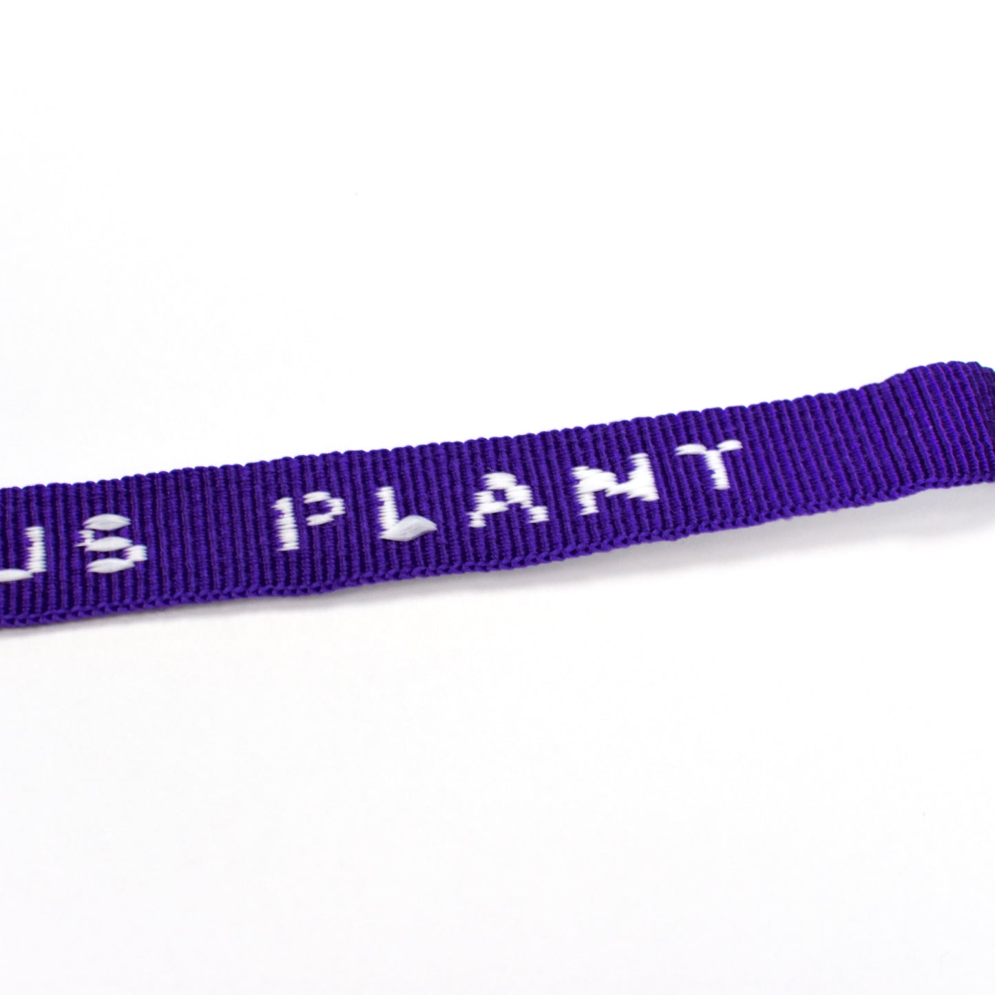 Cactus Plant Flea Market - Purple Cult ID Bracelet
