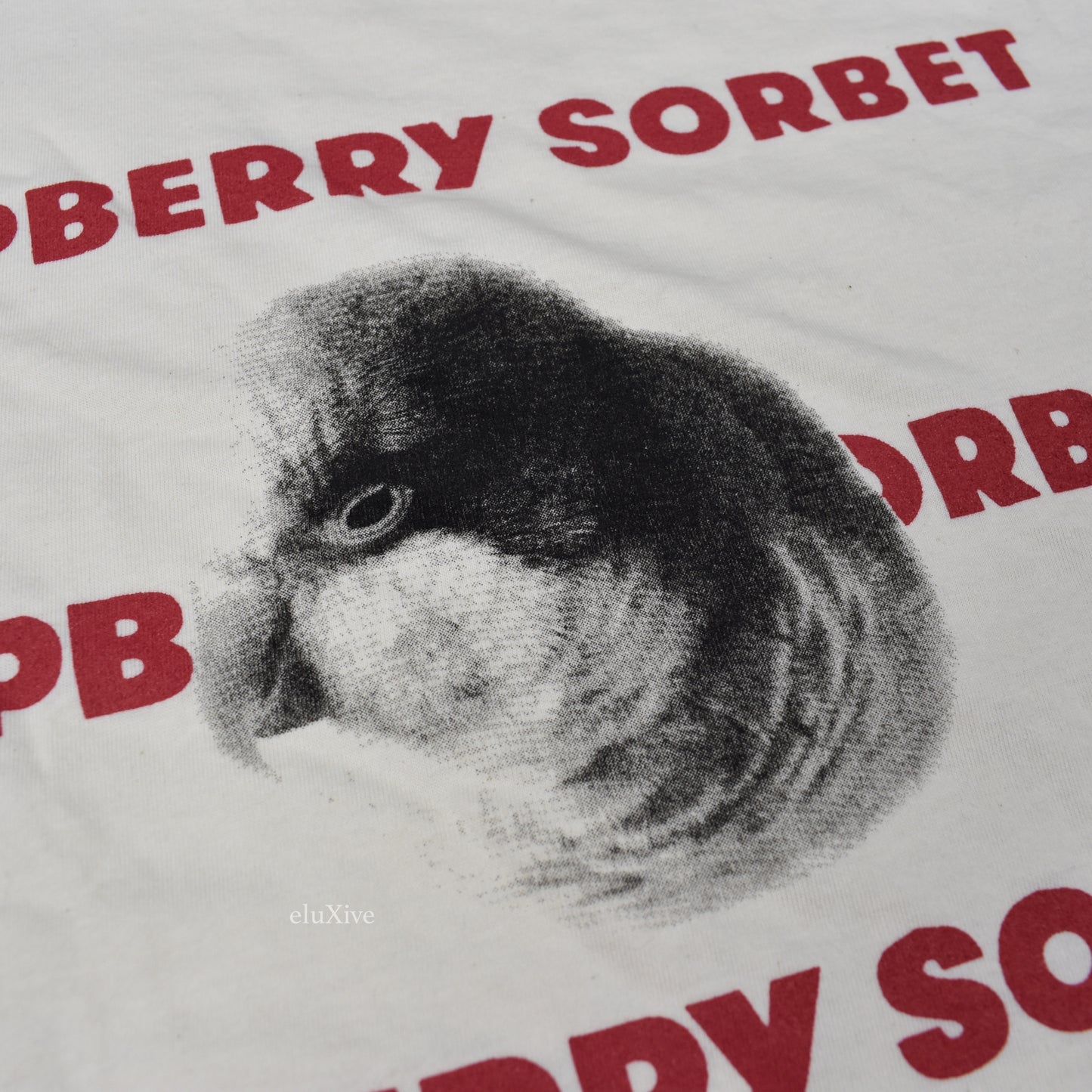 Lewis Chadha - 'Rochester' Bird Print T-Shirt