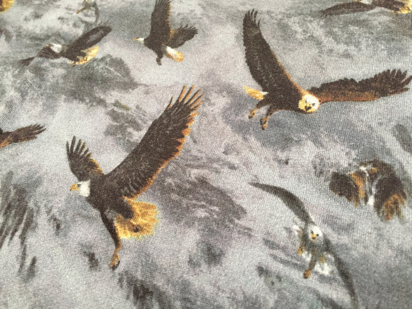 Carhartt WIP - Eagle Print French Terry Sweatshirt