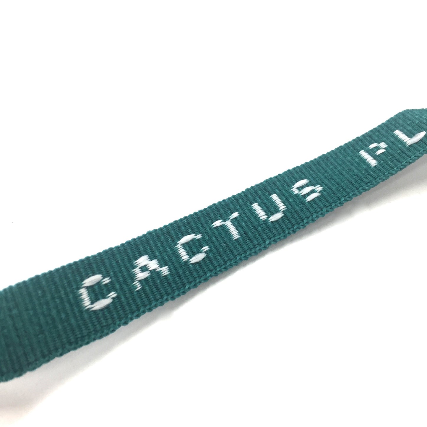 Cactus Plant Flea Market - Teal Cult ID Bracelet